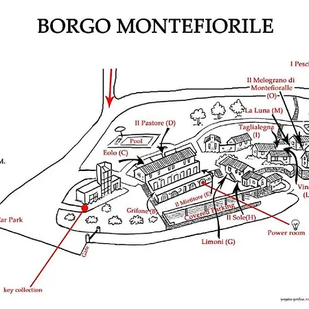 Taglialegna A Montefiorile Gaiole in Chianti